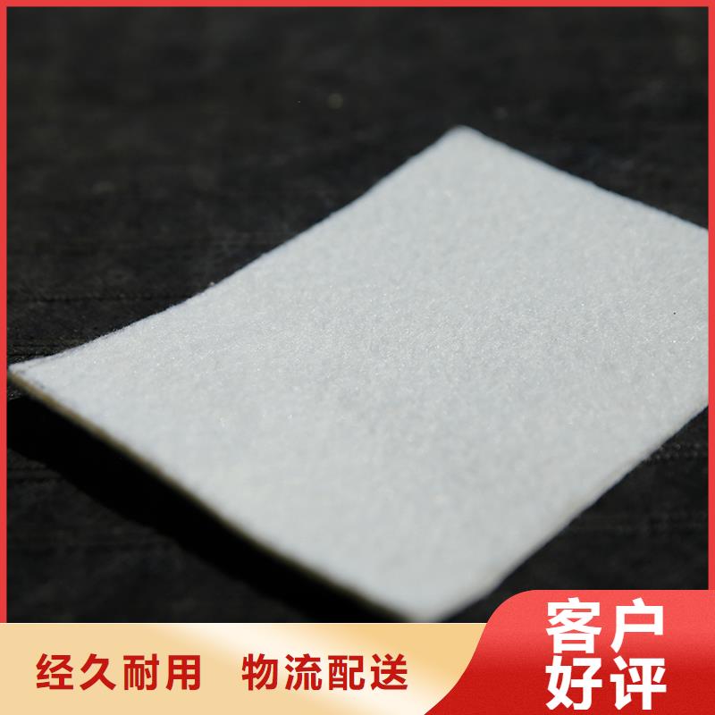 土工布玻纤土工格栅服务周到