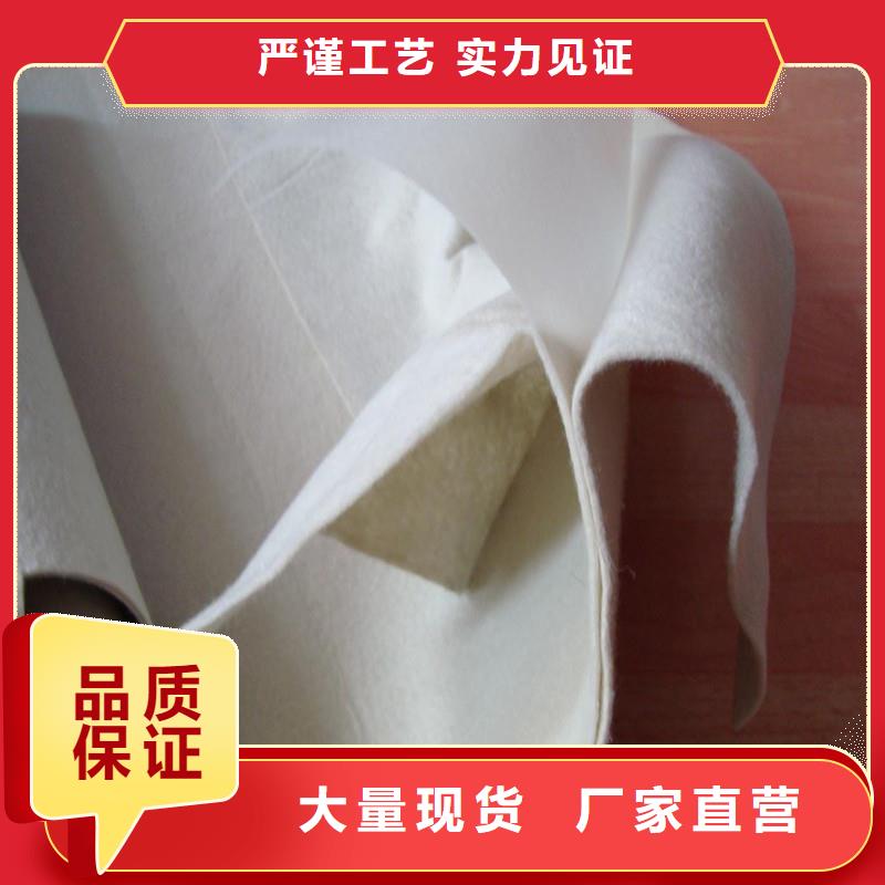 土工布HDPE复合排水板原厂制造