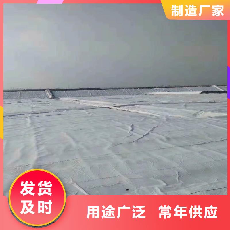 土工布双向塑料土工格栅海量现货