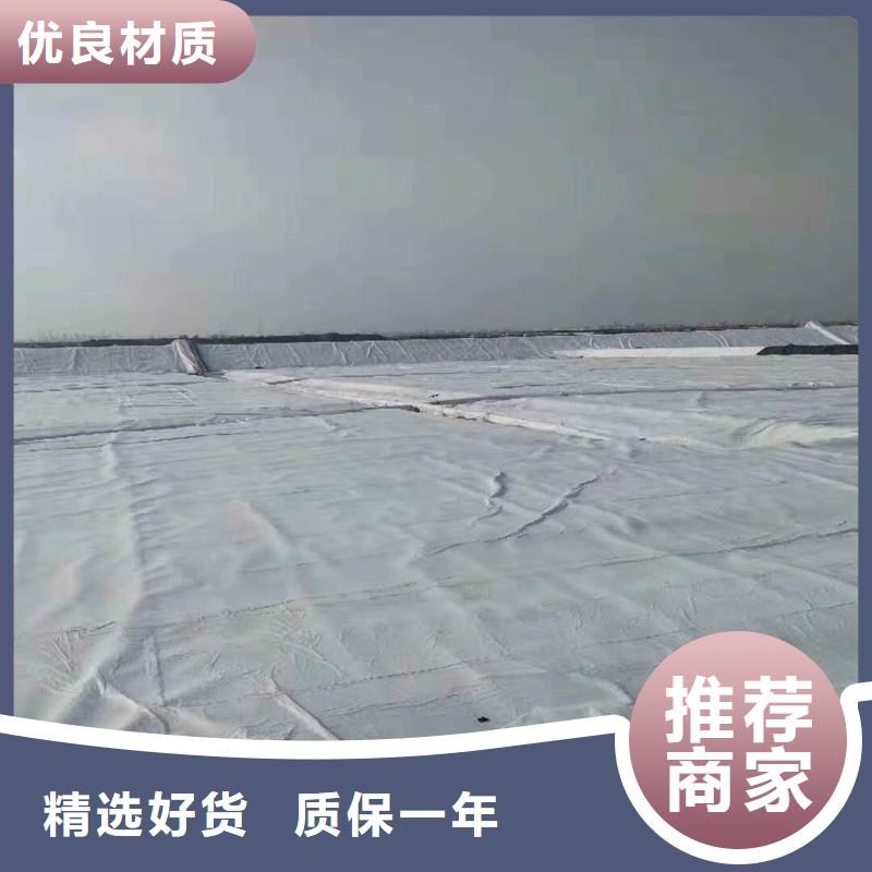 土工布双向塑料土工格栅海量现货