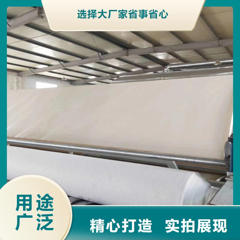 土工布双向塑料土工格栅根据要求定制