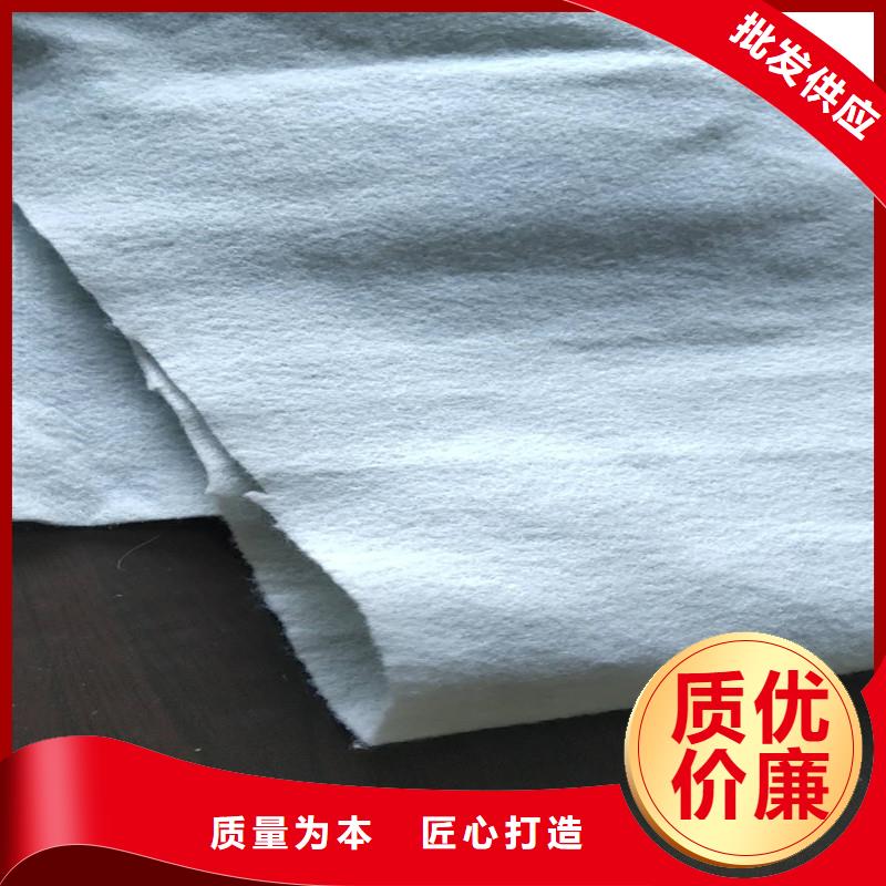 土工布钢塑格栅产品性能