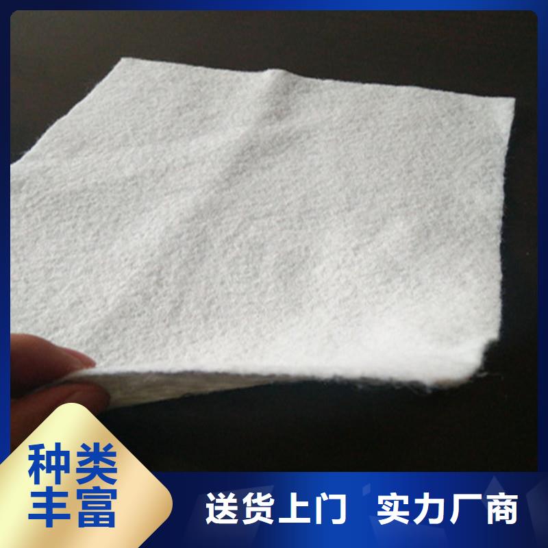 土工布聚丙烯长丝土工布来图定制