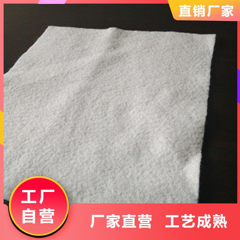 土工布双向塑料土工格栅库存量大