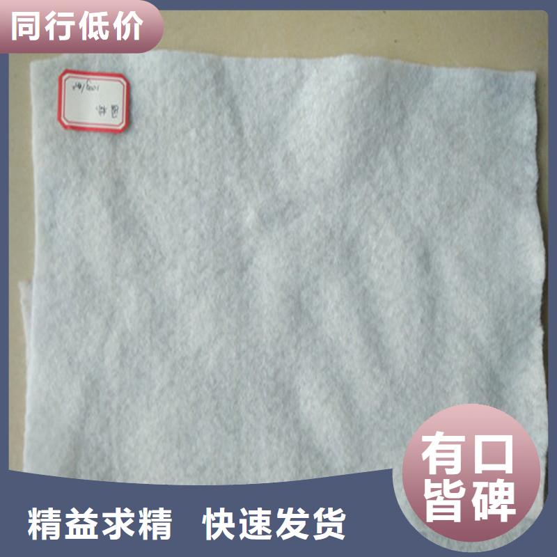 土工布聚丙烯长丝土工布打造好品质