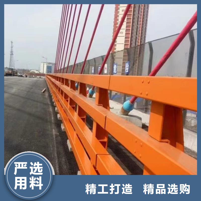 专业生产团队【神龙】人行道护栏桥梁护栏一致好评产品