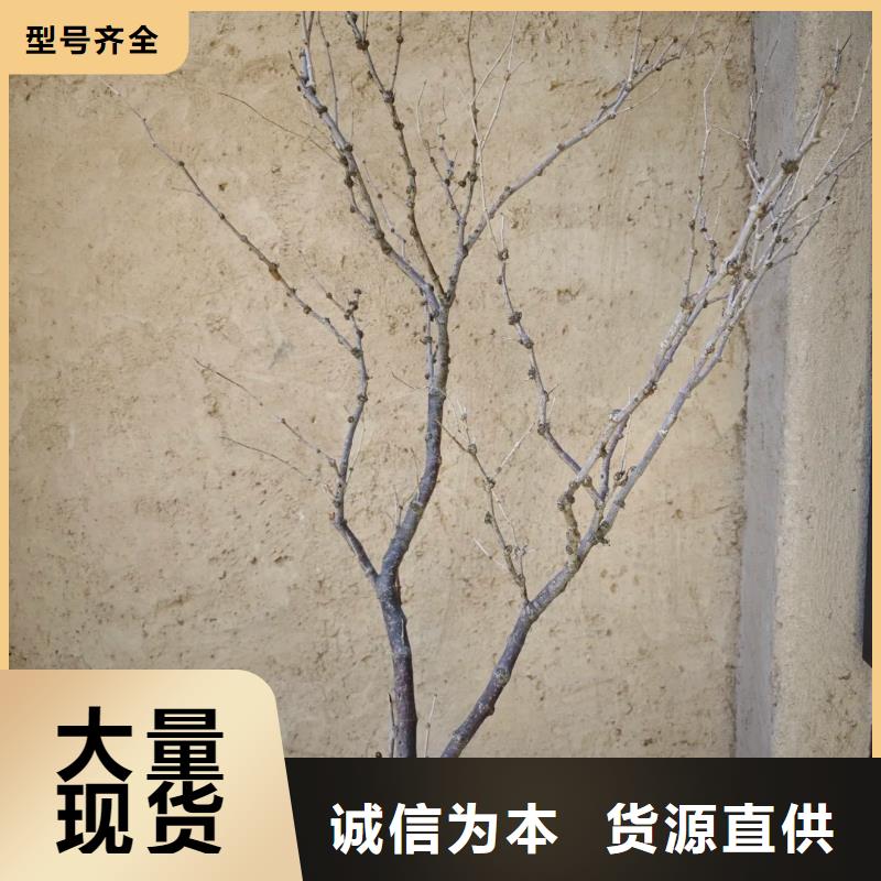 仿五花断层夯土漆厂家#内外墙稻草漆#民宿改造#乡村建设