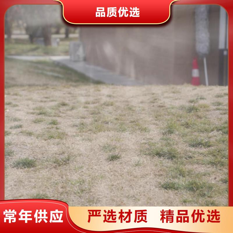 户外夯土墙漆全包施工