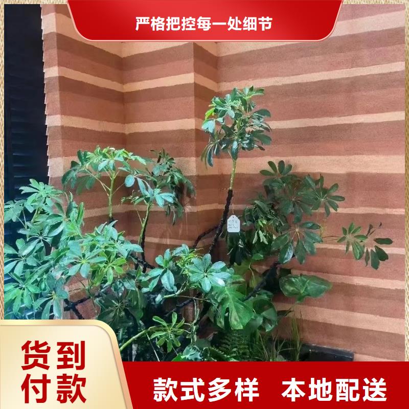 夯土涂料施工方案