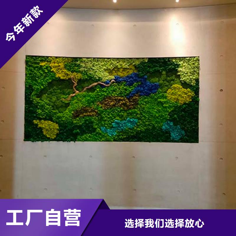质感微水泥一公斤价格