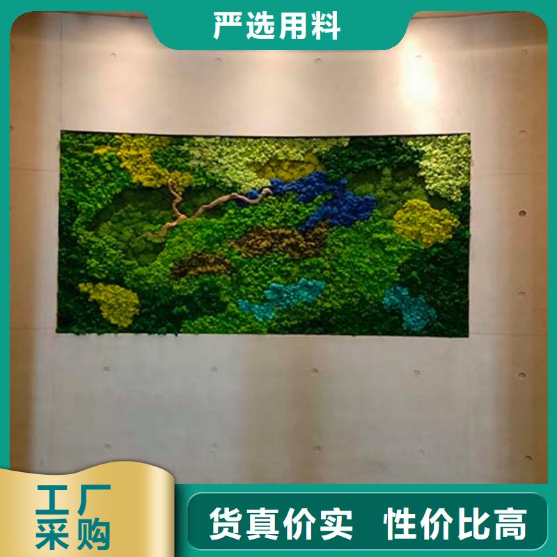 微水泥涂料品牌厂商