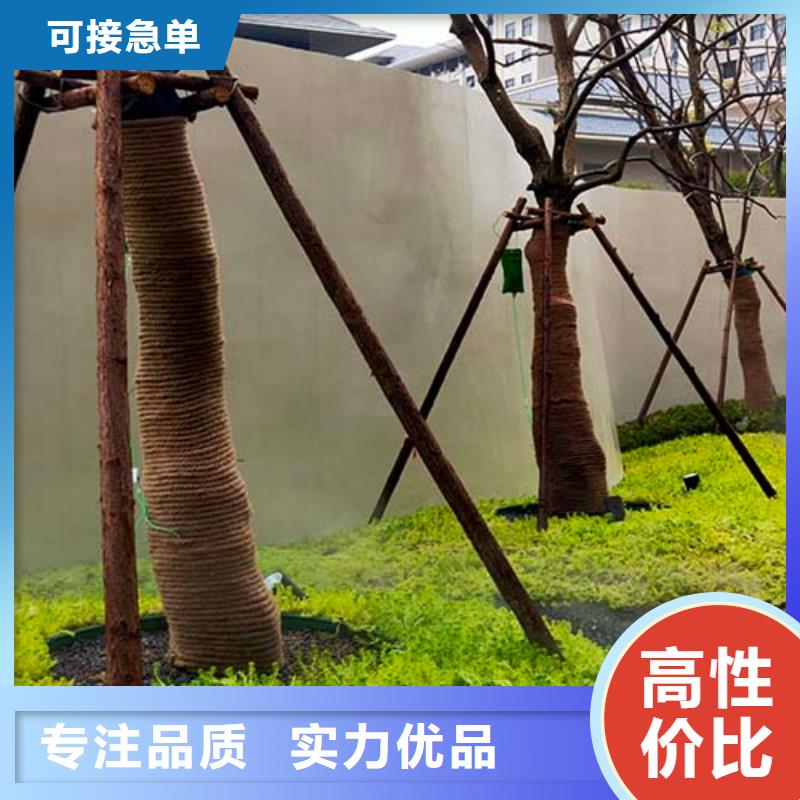 微水泥涂料样板