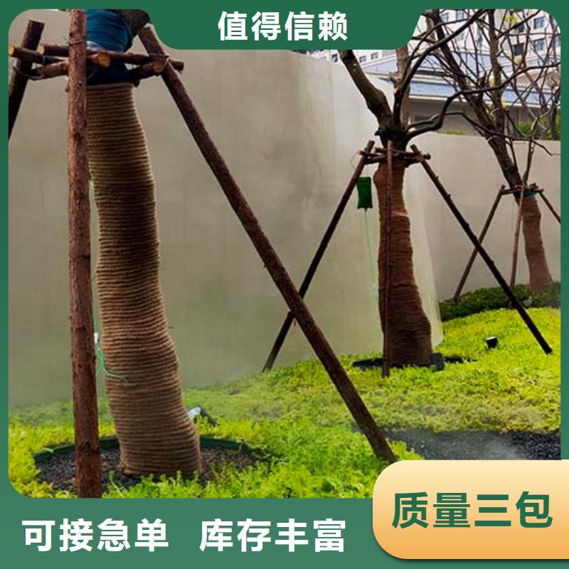 质感微水泥厂家