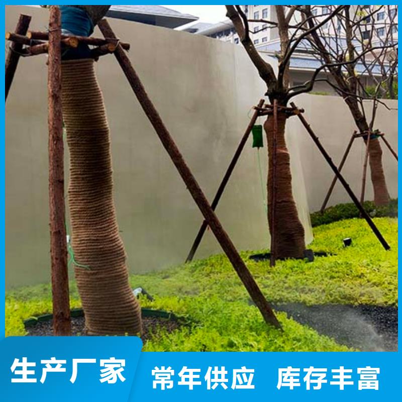 质感微水泥项目案例