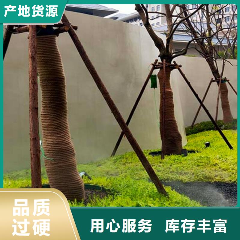 微水泥涂料批发价格