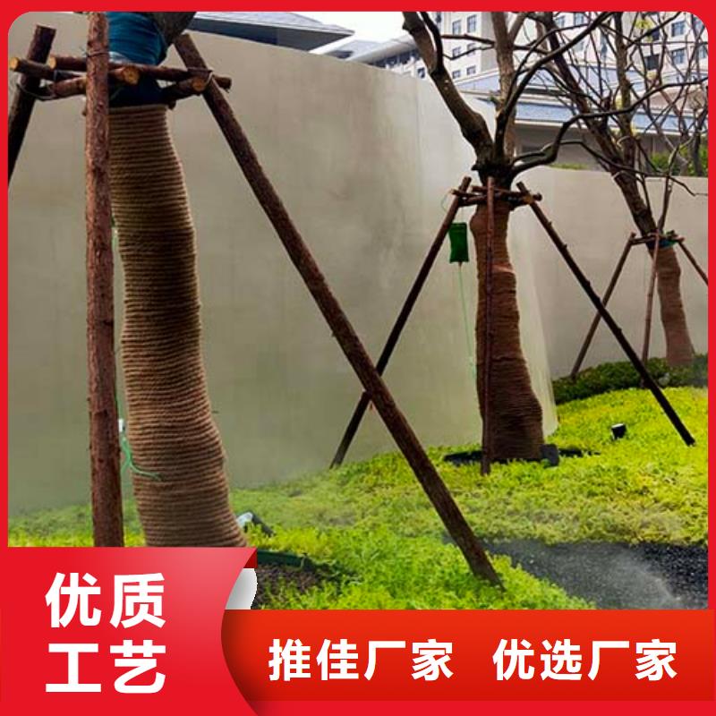 微水泥一平方价格