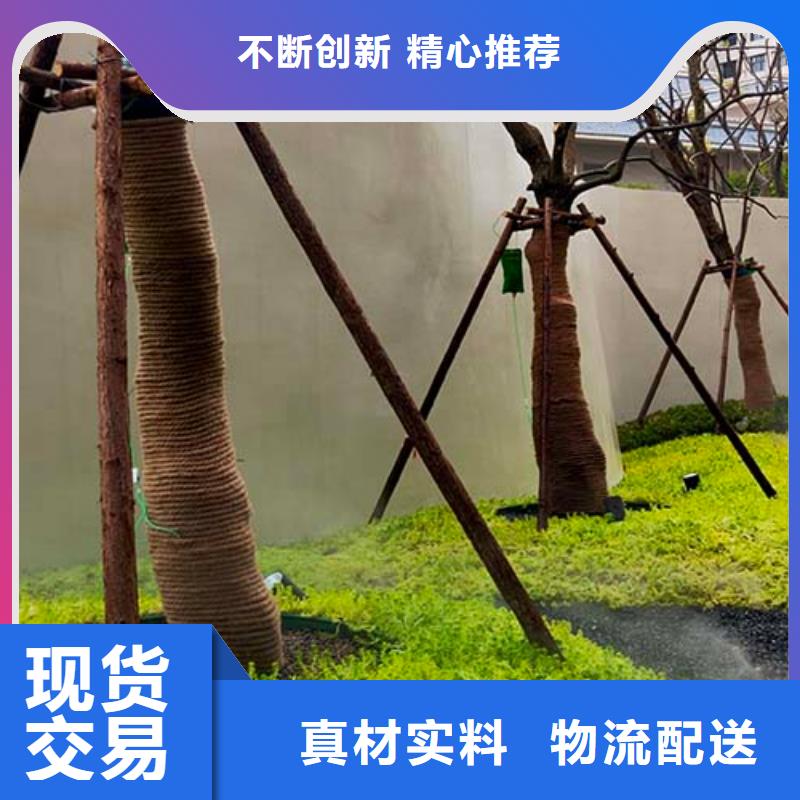 水泥漆,夯土稻草漆正规厂家