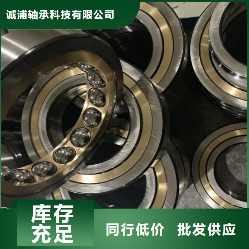 不锈钢轴承nsk轴承定金锁价