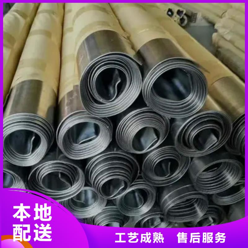 【铅板不锈钢铅门专业按需定制】