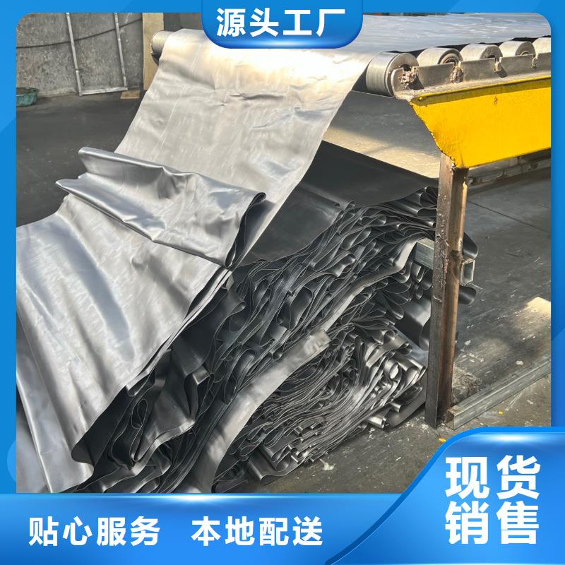 【铅板不锈钢铅门专业按需定制】