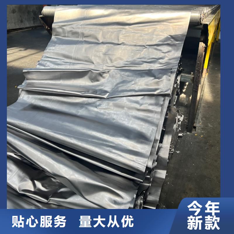 【铅板】电动铅门多种规格库存充足