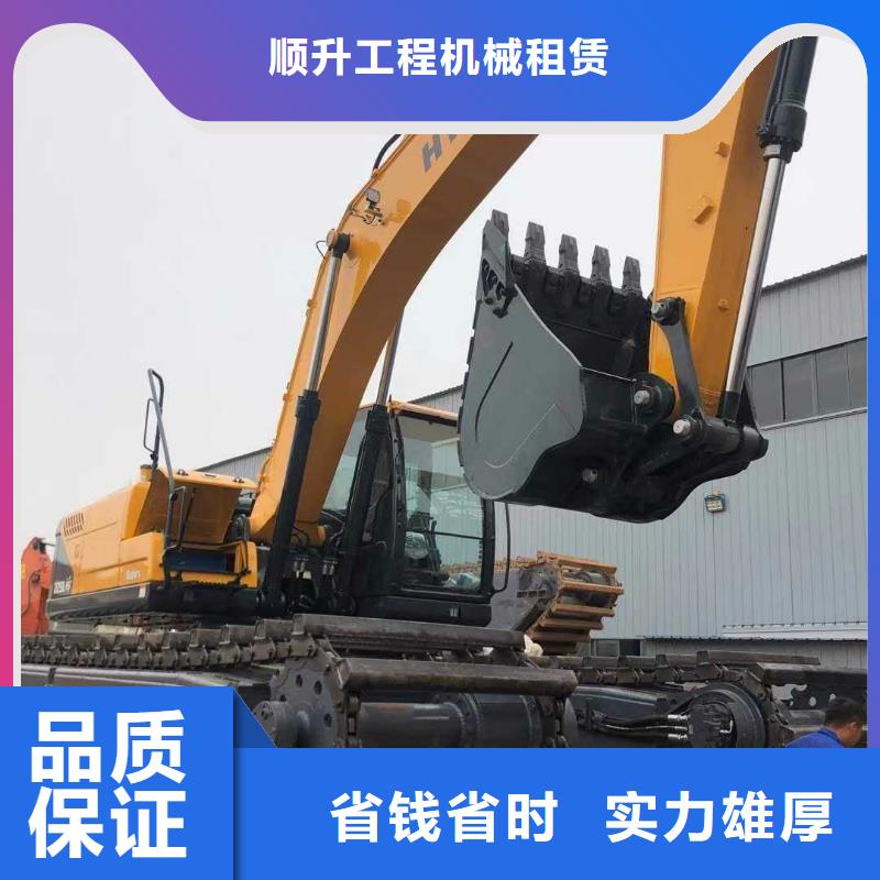 
两栖挖掘机出租