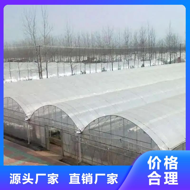 连体葡萄大棚厂家报价