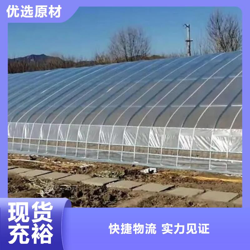 广东省深圳市梅沙街道芒果大棚管品质保障