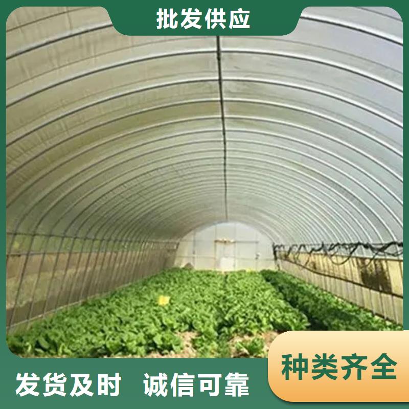 广东省深圳市黄贝街道温室大棚多少钱一平方靠谱厂家