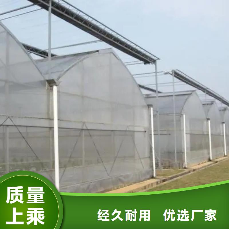葡萄大棚钢管定制价格