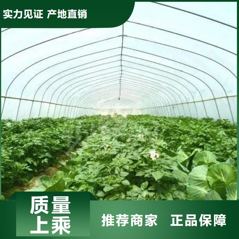 葡萄避雨大棚供应商