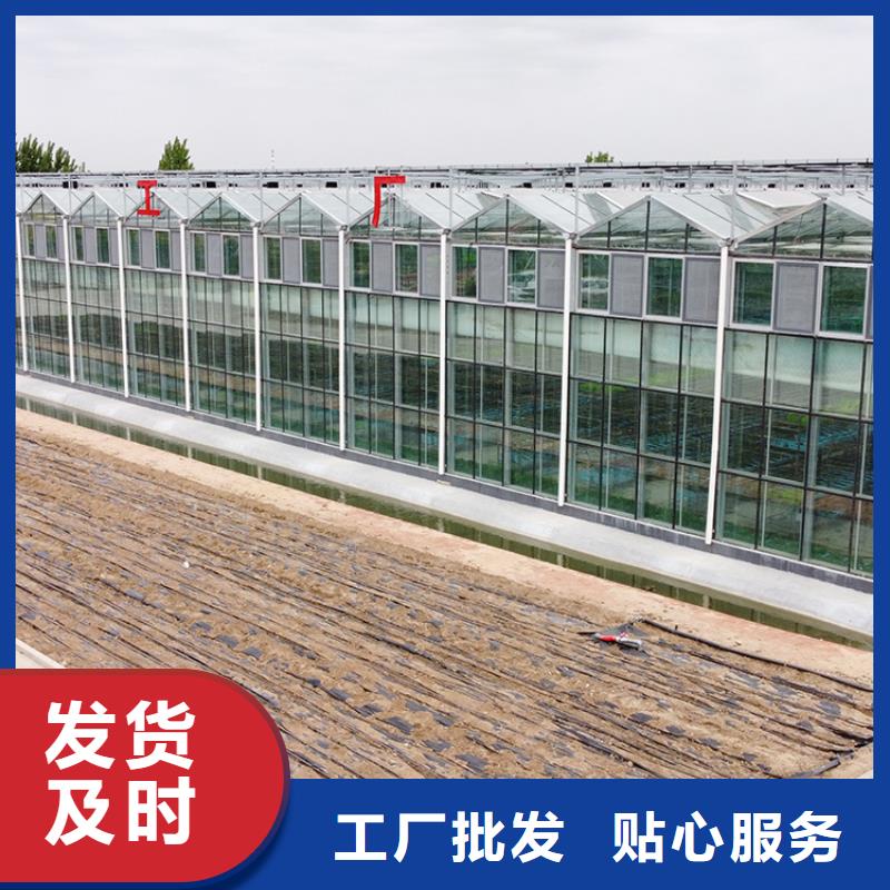 广东省深圳市梅沙街道芒果大棚管品质保障