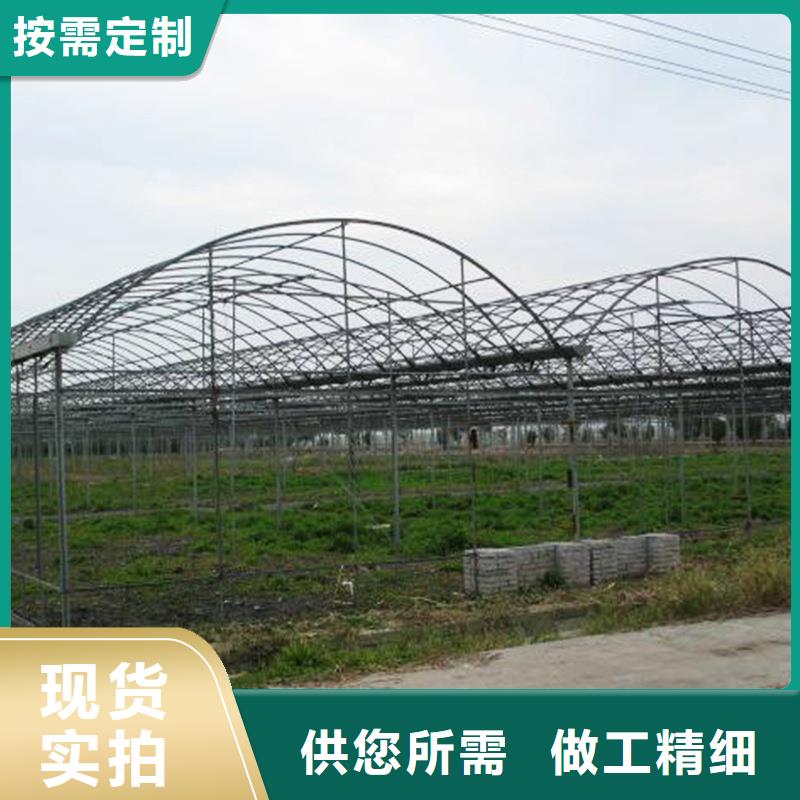 杨梅大棚管靠谱厂家