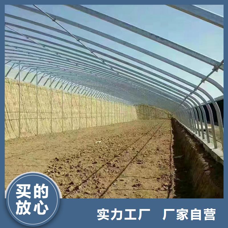 广东省深圳市梅沙街道芒果大棚管品质保障