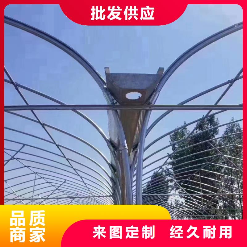 珠海市南水镇连体大棚排水天沟实体大厂