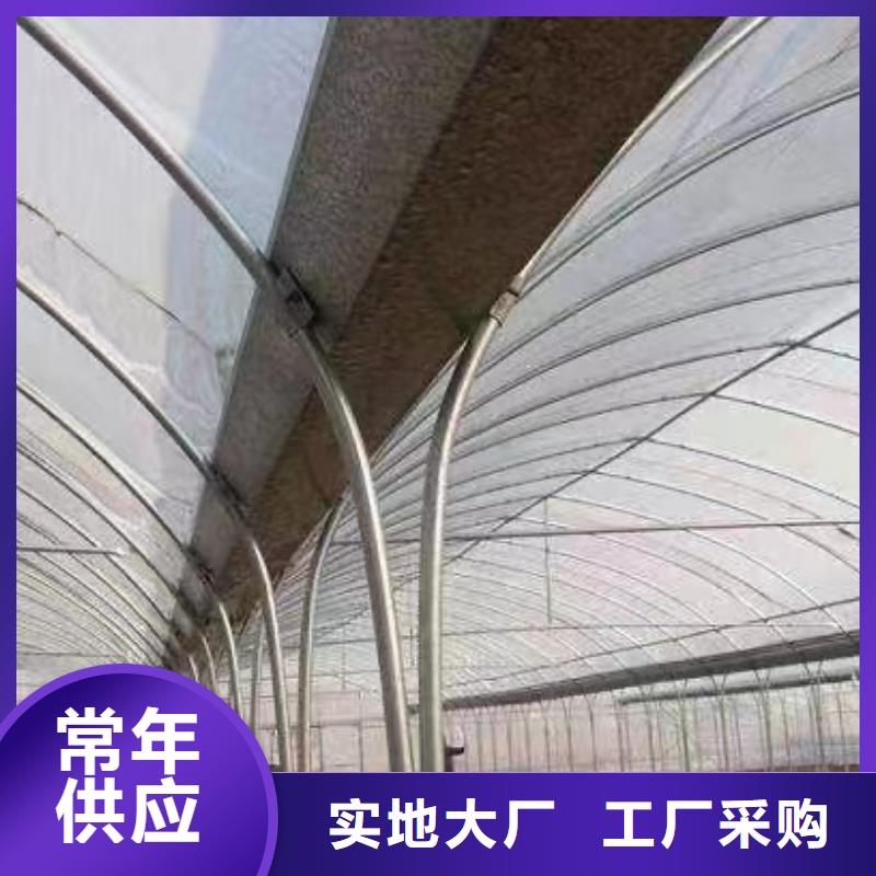 杨梅大棚管靠谱厂家