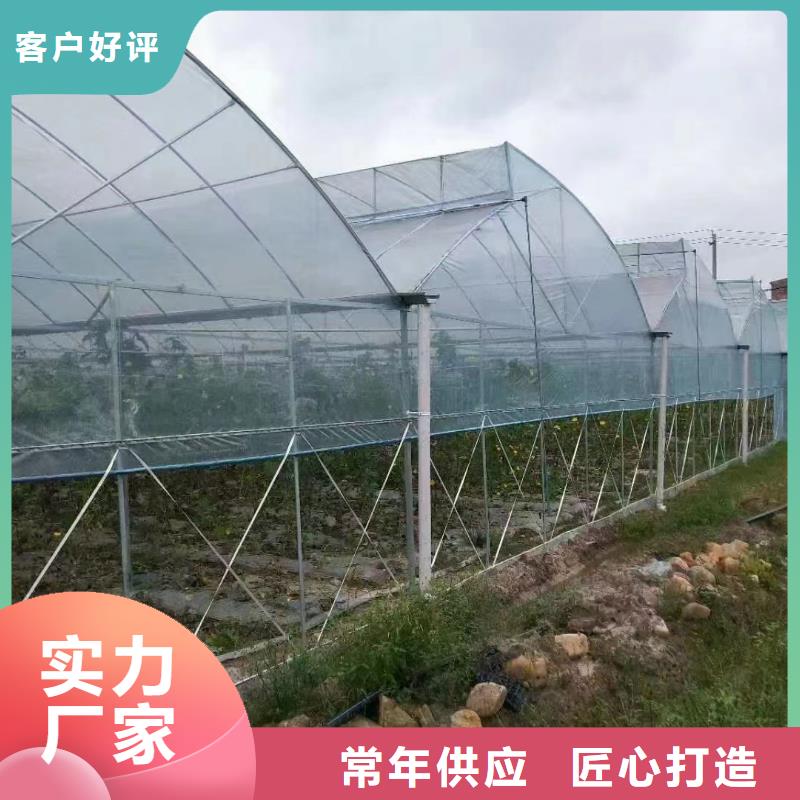 杨梅大棚管靠谱厂家