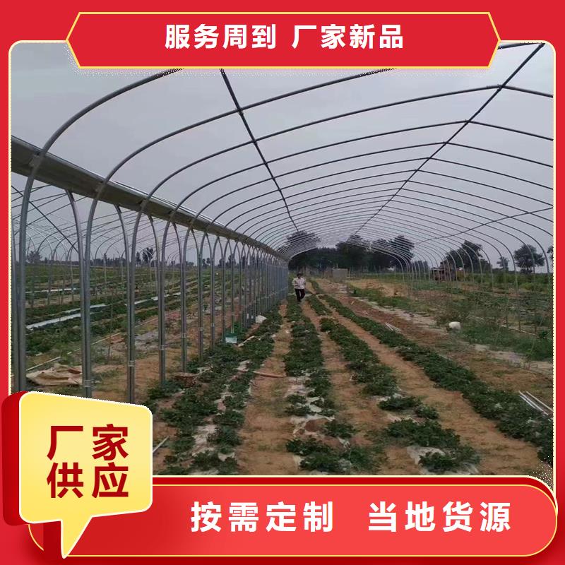 广东省深圳市梅沙街道芒果大棚管品质保障