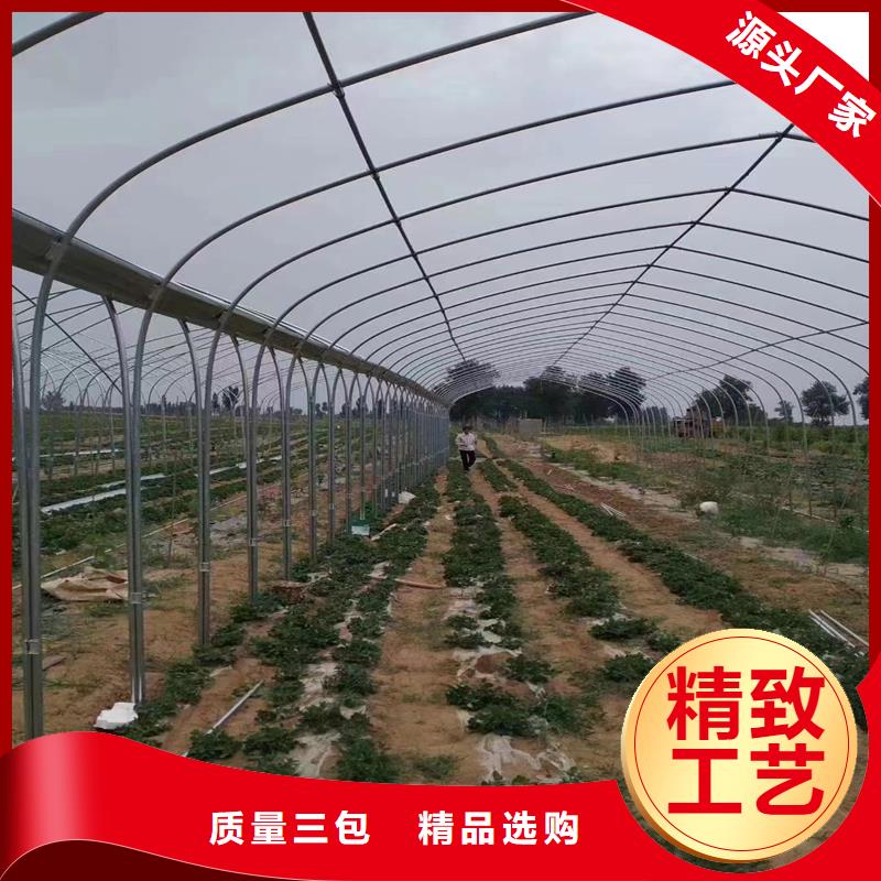 大棚铝合金卡槽卡簧发货及时