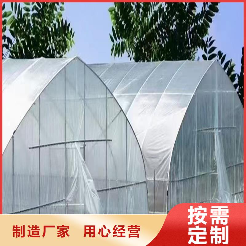 灵芝大棚钢管现货供应