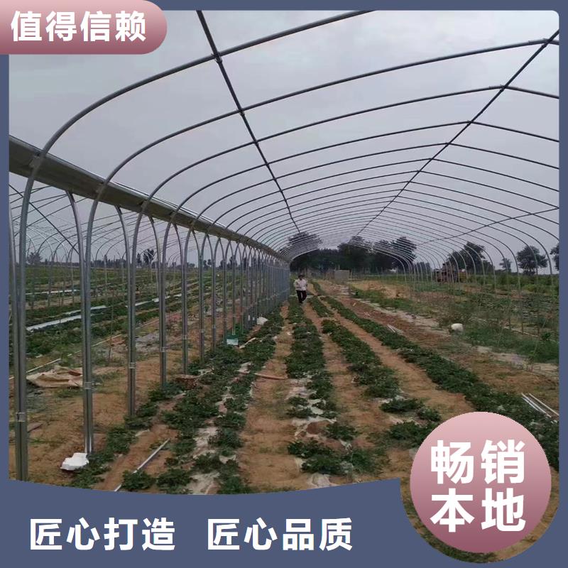 大棚铝合金卡槽图片大全厂家直供
