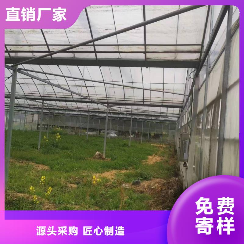 葡萄避雨大棚供应商