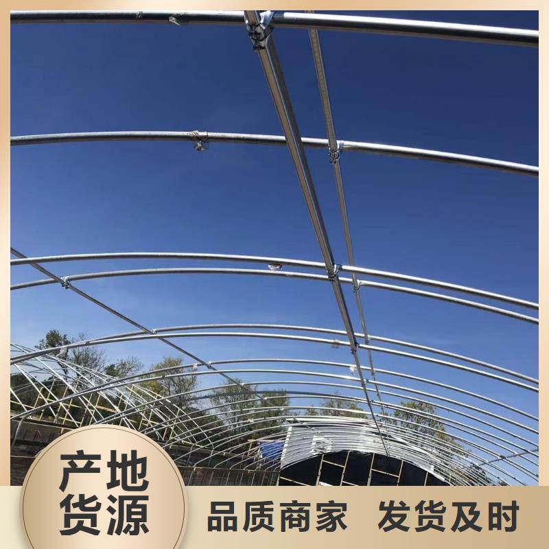 连体大棚多少钱一亩在线报价