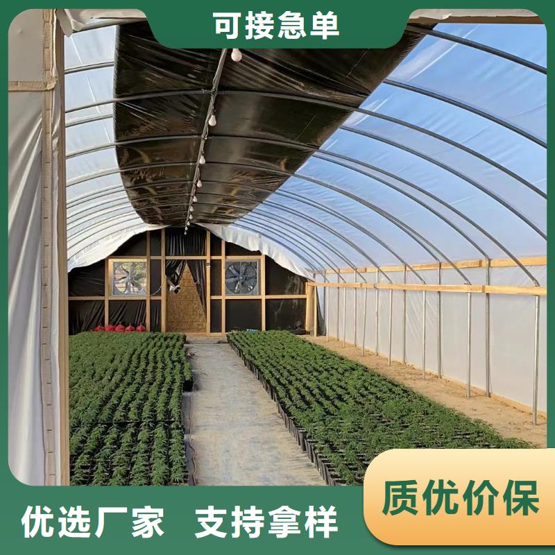 广东省汕头市云澳镇葡萄大棚管品质保障