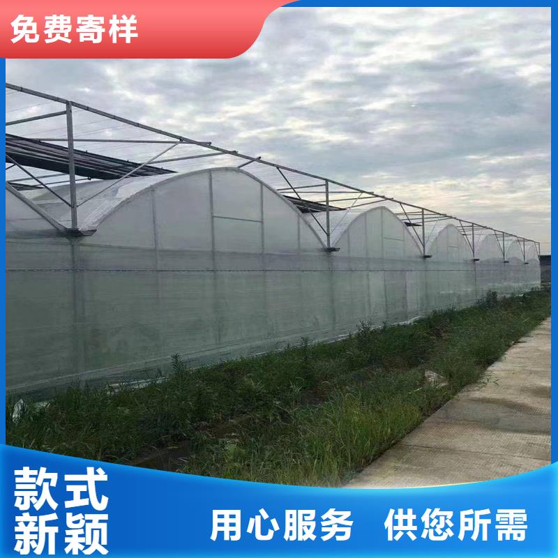 广东省深圳市大鹏街道玻璃温室大棚造价厂家报价