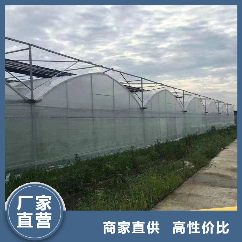 广东省从厂家买售后有保障【金荣圣】葡萄避雨大棚实体厂家