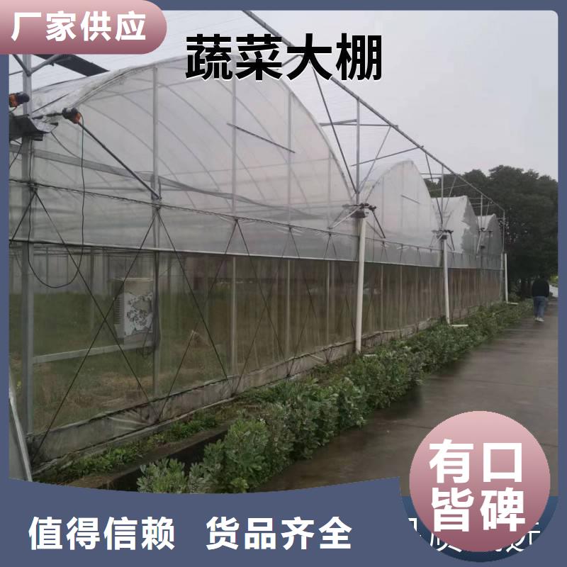 河南省好货直供<金荣圣>县葡萄避雨大棚品牌厂家