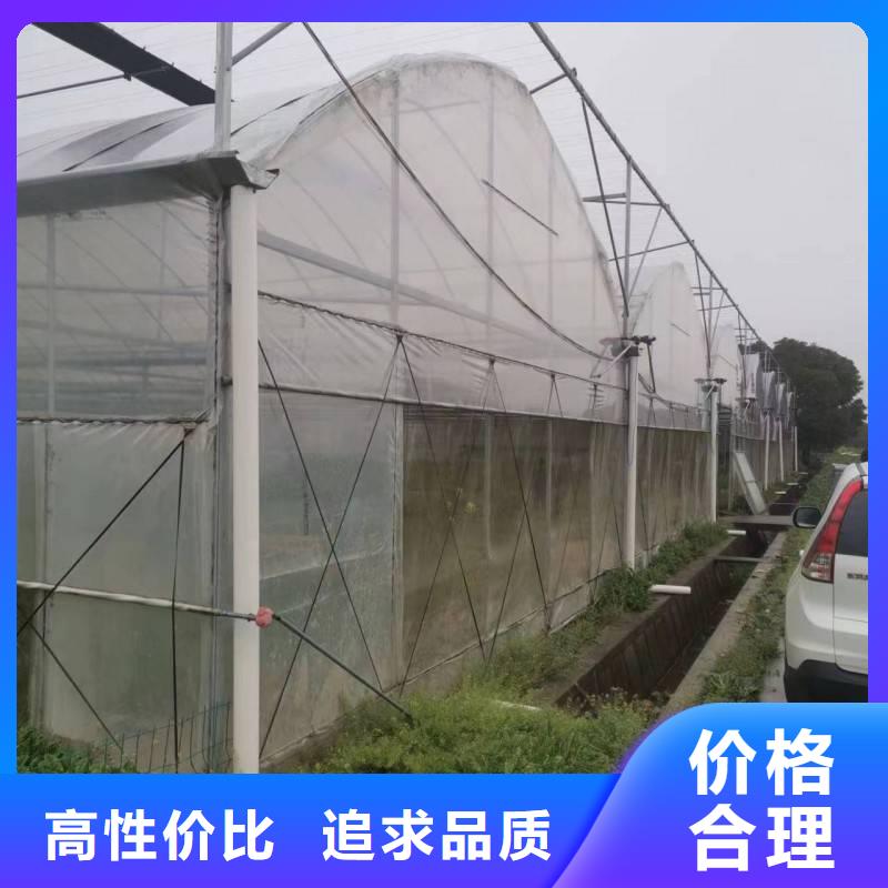 广东省从厂家买售后有保障【金荣圣】葡萄避雨大棚实体厂家