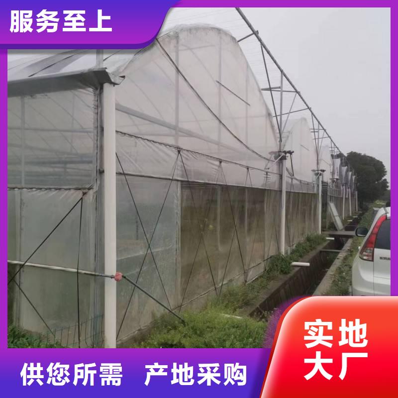 河南省购买<金荣圣>县蔬菜大棚厂欢迎电询