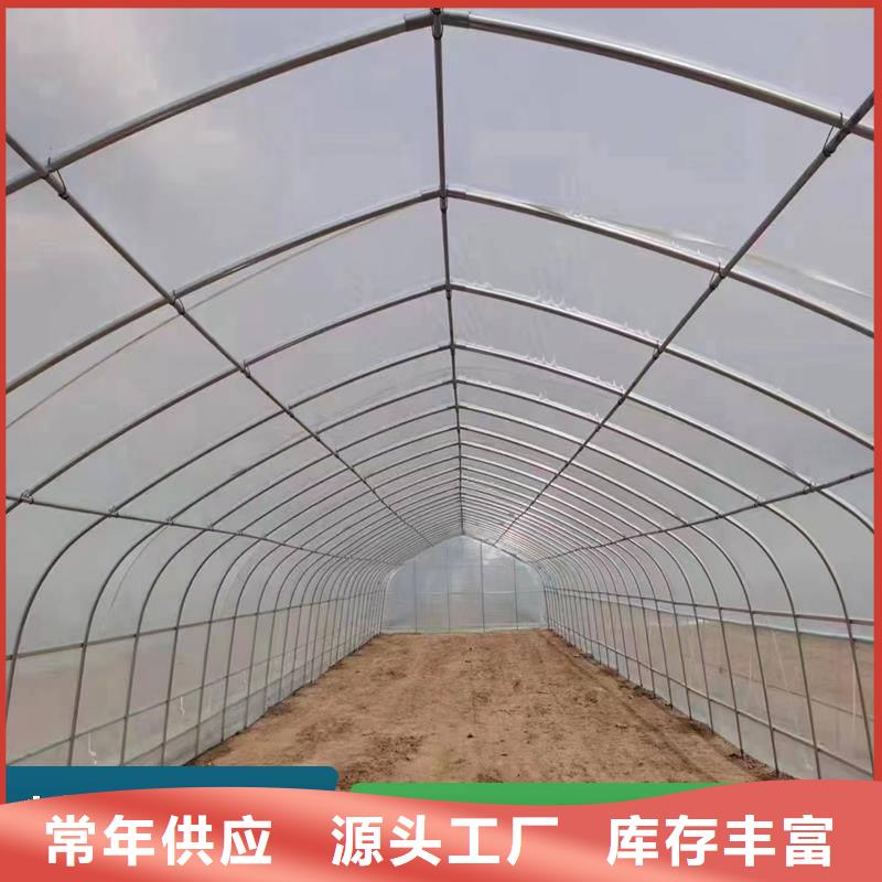 浙江省订购《金荣圣》蓝莓杨梅水果大棚生产基地
